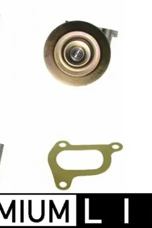 Express Levering Waterpomp Mahle Original CP 385 000P