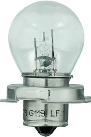 Gloeilamp, koplamp Diederichs LID10052 Bulkbestelling