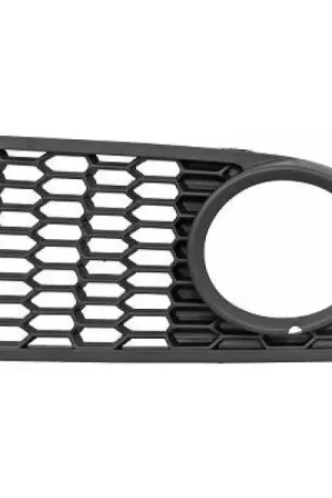 Snelle Levering Mistlamp onderdeel Diederichs ZUB00029