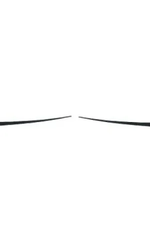 Bumperspoilers Diederichs ZUB00162 Koop Vandaag