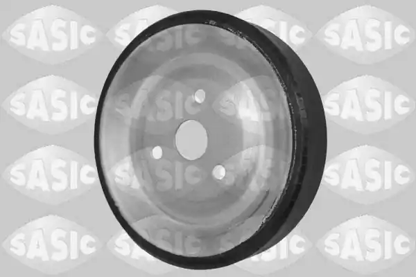 Weekendaanbieding Spanrol (poly) V-riem Sasic 1600002