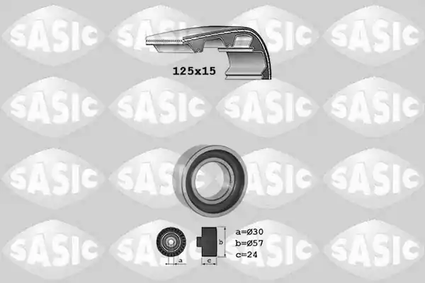 Exclusief Distributieriem kit Sasic 1756018