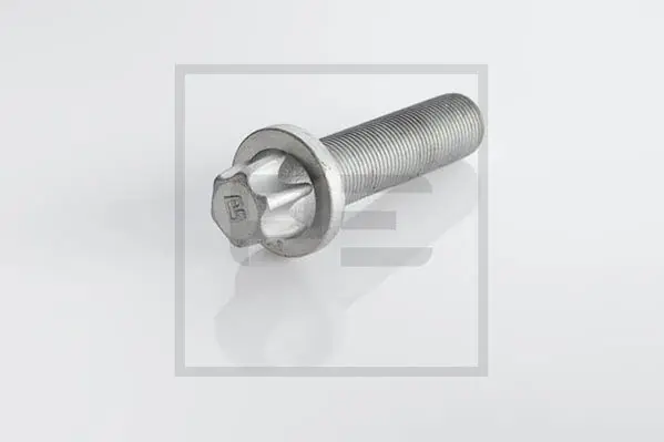 Remschijfschroef Pe Automotive 296.001-00A Premium