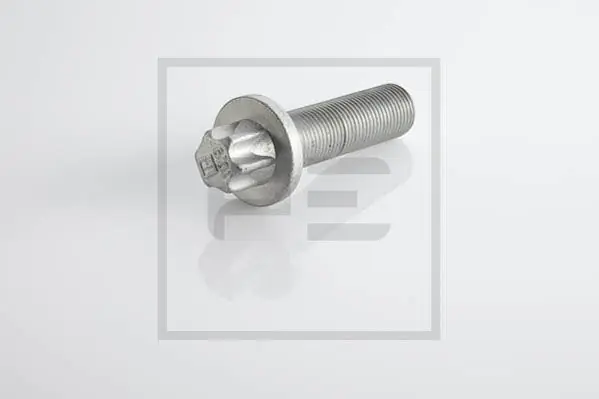 Remschijfschroef Pe Automotive 296.002-00A Bestseller