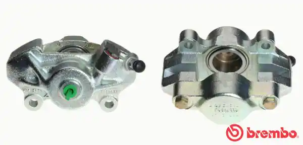 Limited Edition Remzadel\\/remklauw Brembo F 52 011