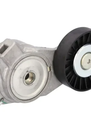 Direct Beschikbaar Spanner poly V-riem Febi Bilstein 19484