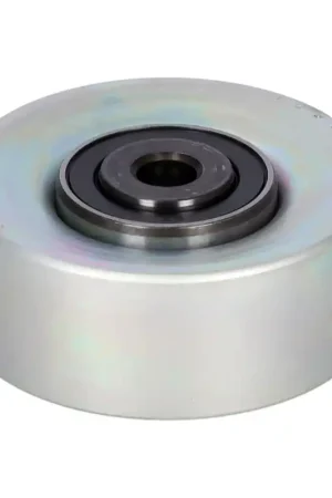 Laatste Kans Geleiderol (poly) V-riem Febi Bilstein 19856