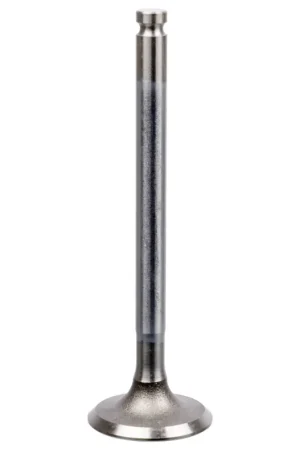 Inlaatklep Febi Bilstein 19885 Garantie Inbegrepen