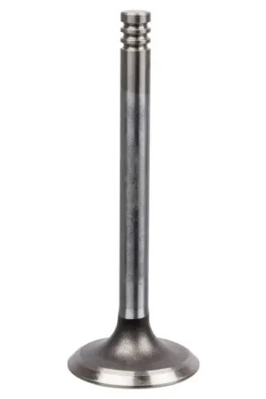 Trendy Inlaatklep Febi Bilstein 19952