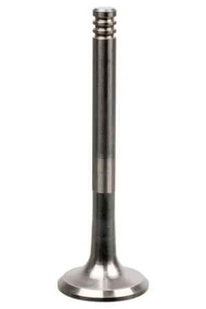 Uitlaatklep Febi Bilstein 19974 Direct Beschikbaar