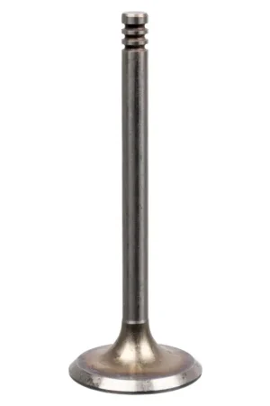 Inlaatklep Febi Bilstein 19992 Uitverkoop