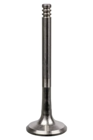 Garantie Inbegrepen Uitlaatklep Febi Bilstein 19996