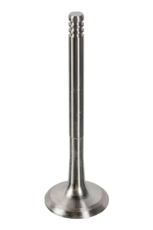 Uitlaatklep Febi Bilstein 19998 Nieuwe Collectie