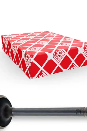 Beperkte Voorraad Inlaatklep Febi Bilstein 19999