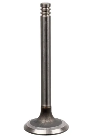 Inlaatklep Febi Bilstein 21006 Superprijs