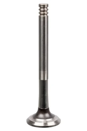 Gecertificeerd Uitlaatklep Febi Bilstein 21008