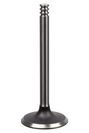 Weekendaanbieding Inlaatklep Febi Bilstein 21018