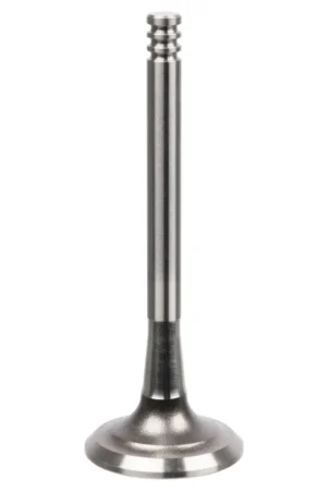 Uitlaatklep Febi Bilstein 21042 Veilige Betaling