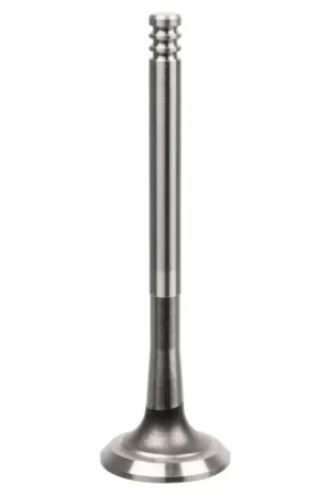 Finale Uitverkoop Inlaatklep Febi Bilstein 21214