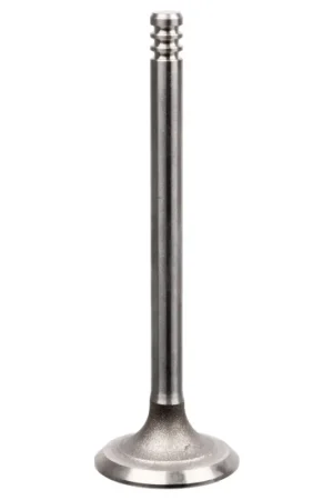 Authentiek Inlaatklep Febi Bilstein 21234