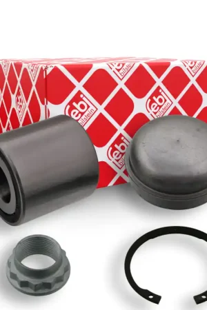 Ambachtelijk Wiellagerset Febi Bilstein 21847