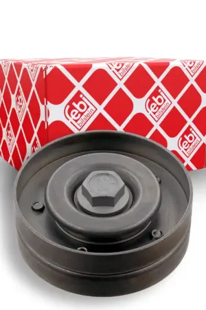 Meest Verkocht Geleiderol (poly) V-riem Febi Bilstein 21918