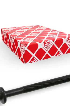 Snelle Levering Cilinderkopbout Febi Bilstein 22411