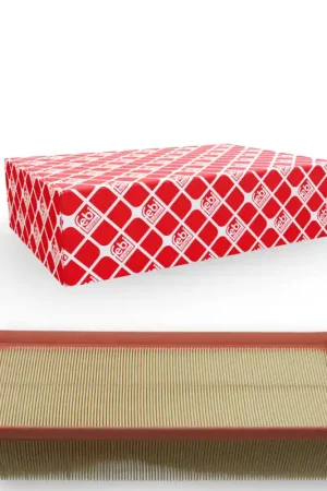 Ambachtelijk Luchtfilter Febi Bilstein 22552