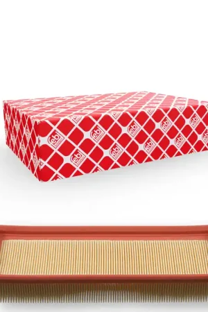 Beste Prijs Luchtfilter Febi Bilstein 22585