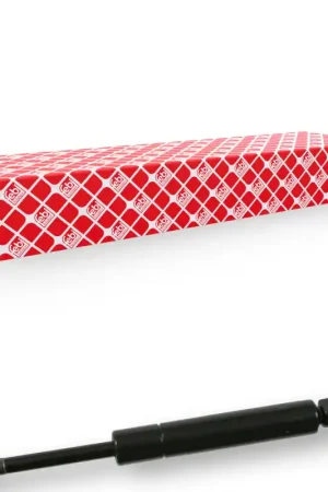 Wereldwijde Verzending Gasveer, motorkap Febi Bilstein 22622