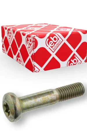 Ambachtelijk Schroef Febi Bilstein 24391