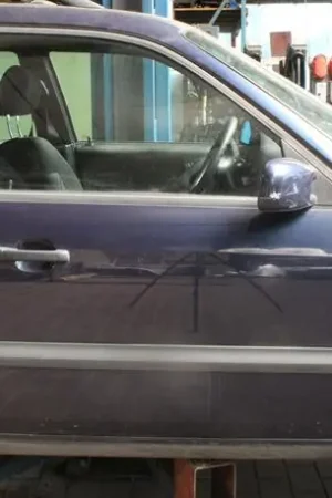 Sierpaneel deur VW Passat Variant (35I, 3A5) Gratis Retour