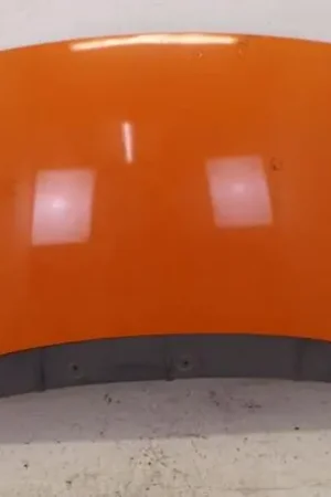 Gereduceerde Prijs Motorkap FIAT Grande Punto (199)