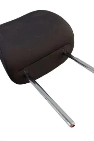 Express Levering Hoofdsteun VW Tiguan (5N)