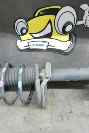 Betrouwbaar Veerpoot PEUGEOT 307 Break (3E), PEUGEOT 307 SW (3H)