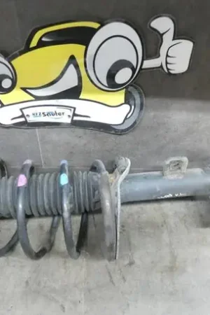 Gratis Verzending Veerpoot PEUGEOT 307 Break (3E), PEUGEOT 307 SW (3H)