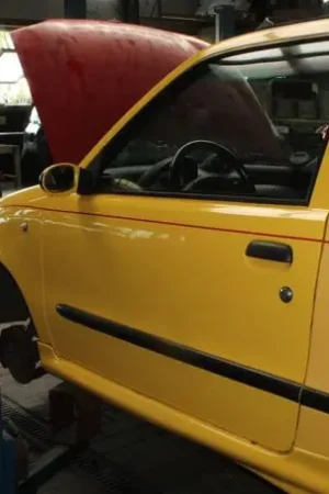 Speciale Aanbieding Sierpaneel deur FIAT Seicento/600 (187)