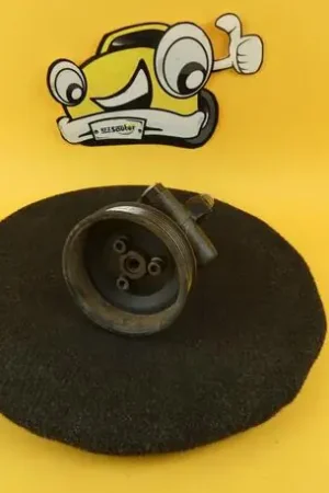 Professioneel Stuurbekrachtigingspomp SEAT Arosa (6H)