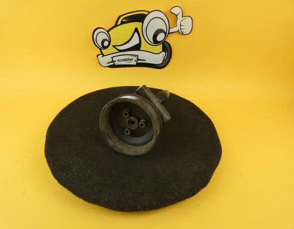 Professioneel Stuurbekrachtigingspomp SEAT Arosa (6H)