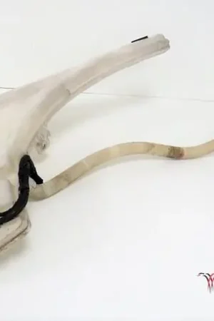 Weekendaanbieding Reinigingsvloeistofreservoir BMW 1er (E81), BMW 1er (E87)