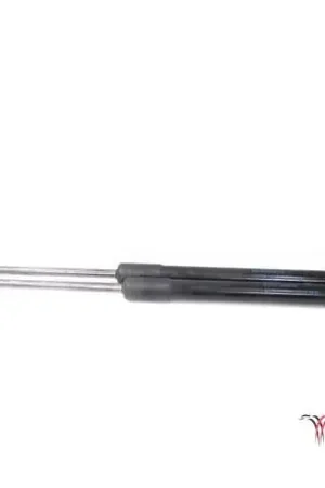 Gratis Verzending Gasveer kofferruimte SKODA FABIA II Combi (545), SKODA ROOMSTER Praktik (5J)