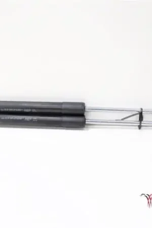 Topkwaliteit Gasveer kofferruimte RENAULT Clio III (BR0/1, CR0/1)