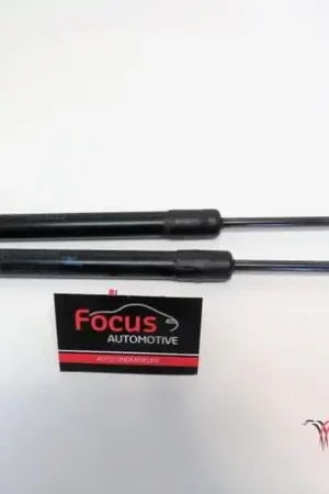 Beste Prijs Gasveer kofferruimte RENAULT MEGANE III Hatchback (BZ0/1_, B3_)