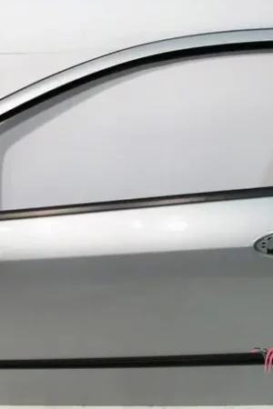 Deur FIAT Grande Punto (199), FIAT Punto Evo (199) Gereduceerde Prijs