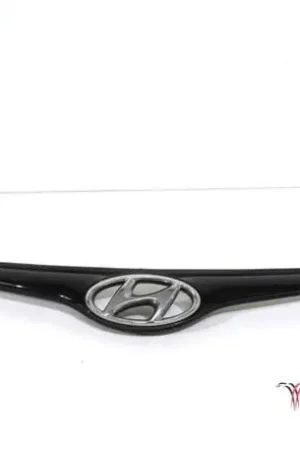 Radiateurgrille HYUNDAI i20 (PB, PBT) Snelle Levering