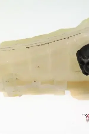 Koelmiddel Compensatiereservoir RENAULT KANGOO Express (FW0/1_) Origineel