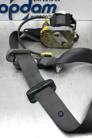 Veiligheidsgordel SUZUKI ALTO (FF) Must-Have