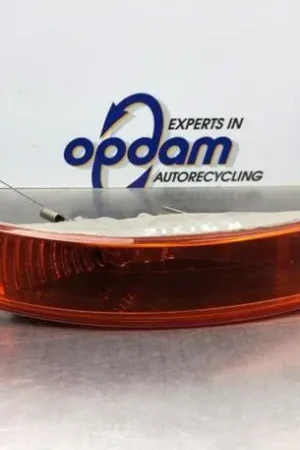 Richtingaanwijzer RENAULT TRAFIC II Van (FL), RENAULT TRAFIC II Bus (JL) Plaats Bestelling