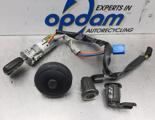 Slotcilinderset CITROËN XSARA PICASSO (N68) Beperkt Aanbod