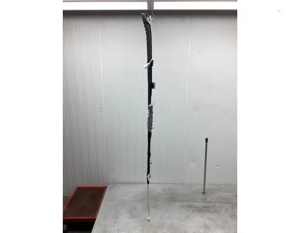 Tijdelijk Beschikbaar Dak Airbag FIAT PANDA (312_, 319_), FIAT PANDA VAN (312_, 519_), LANCIA YPSILON (312_)